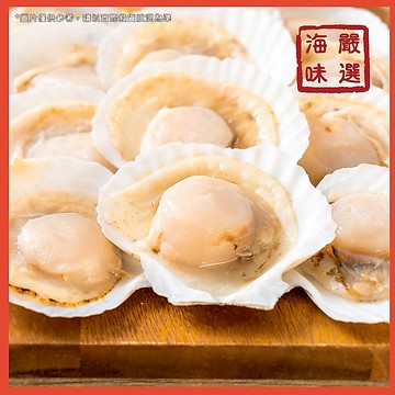【海味嚴選】半殼扇貝6/7／約12顆／500g／799免運／扇貝／半殼扇貝／海鮮／貝類／貝肉／海鮮宅配
