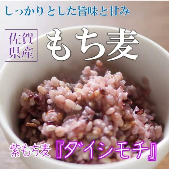 もち麦 800g 佐賀県産 紫もち麦 ダイシモチ ミヤハラ農園