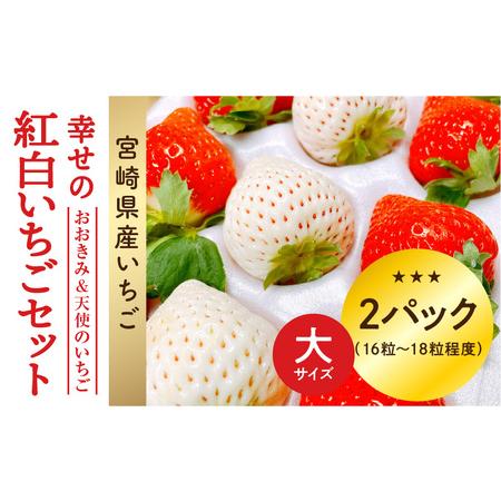 ふるさと納税 宮崎県産 イチゴ 幸せの紅白いちごセット おおきみ天使のいちご 大サイズ2パック(16粒〜18粒程度) いちご 苺 果物 期間・数量.. 宮崎県宮崎市