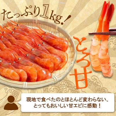 ふるさと納税 羽幌町 超速リキッド凍結でドリップゼロ!北海道羽幌産生鮮甘えび 1kg