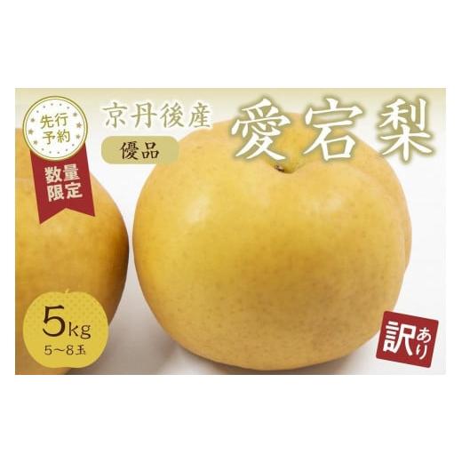 ふるさと納税 京都府 京丹後市 愛宕梨 優品 5kg（5〜8玉入り）（2024年12月上旬〜発送）