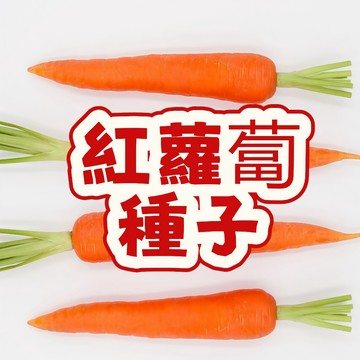 台灣當季紅蘿蔔種子 新鮮蔬菜種籽 盆栽家庭菜園 好種易活 耐熱耐濕 播種育苗 自種無農藥 食用根莖類植物 收成快 耐病蟲