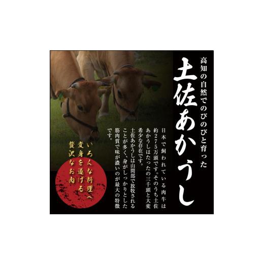 ふるさと納税 高知県 香美市 モモしゃぶしゃぶ　400g