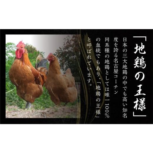 ふるさと納税 愛知県 田原市 年内発送 期間限定 鶏三和 名古屋コーチン ローストチキン 2本