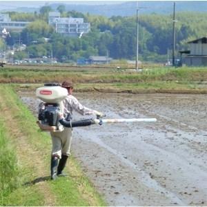 ふるさと納税 ひのひかり玄米30kg(一等米) 奈良県天理市