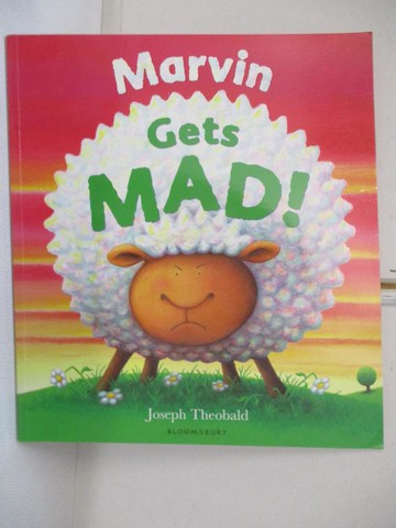 【書寶二手書T5／少年童書_UH8】MARVIN GETS MAD