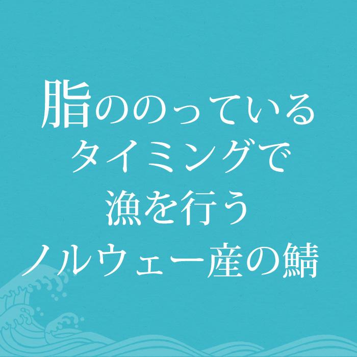 干物 天然真サバの文化干し 8枚セット（約30cm 1枚）