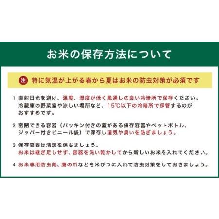 ふるさと納税 熊本・人吉球磨産 森のくまさん お米 5kg×12 熊本県人吉市