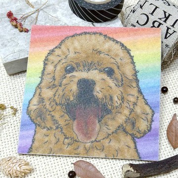 紅貴賓-不織布杯墊-吸水杯墊~彩虹暈染