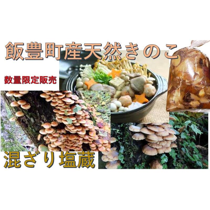 きのこ 予約販売　天然山菜 山形県産天然キノコ 混ざり塩蔵５Kg 自然の恵み 送料無料