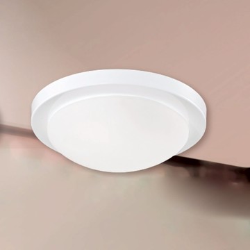 E27玻璃吸頂二燈 B250-53-12-3915