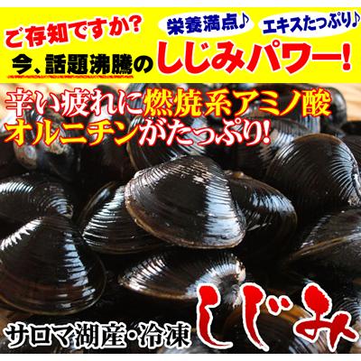 しじみ 500g しじみ 味噌汁 ギフト 北海道 網走湖産 砂抜き済 しじみ汁 お取り寄せ グルメ オホーツク 網走 プレゼント 誕生日祝 御祝 御礼 内祝