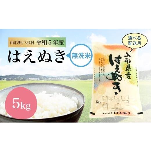 令和5年産 山形県戸沢村 厳選 はえぬき  5?（5kg×1袋） ＜配送時期指定可＞