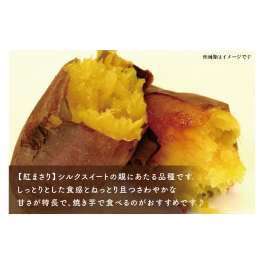 ふるさと納税 茨城県 行方市 AE-69　冷凍焼き芋　3種セット（紅優甘、行方の紫福、紅まさり）各種4本