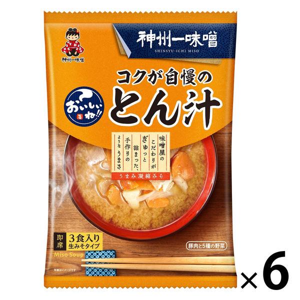 神州一味噌神州一味噌 おいしいね！！コクが自慢のとん汁 1セット（18食：3食入×6袋）