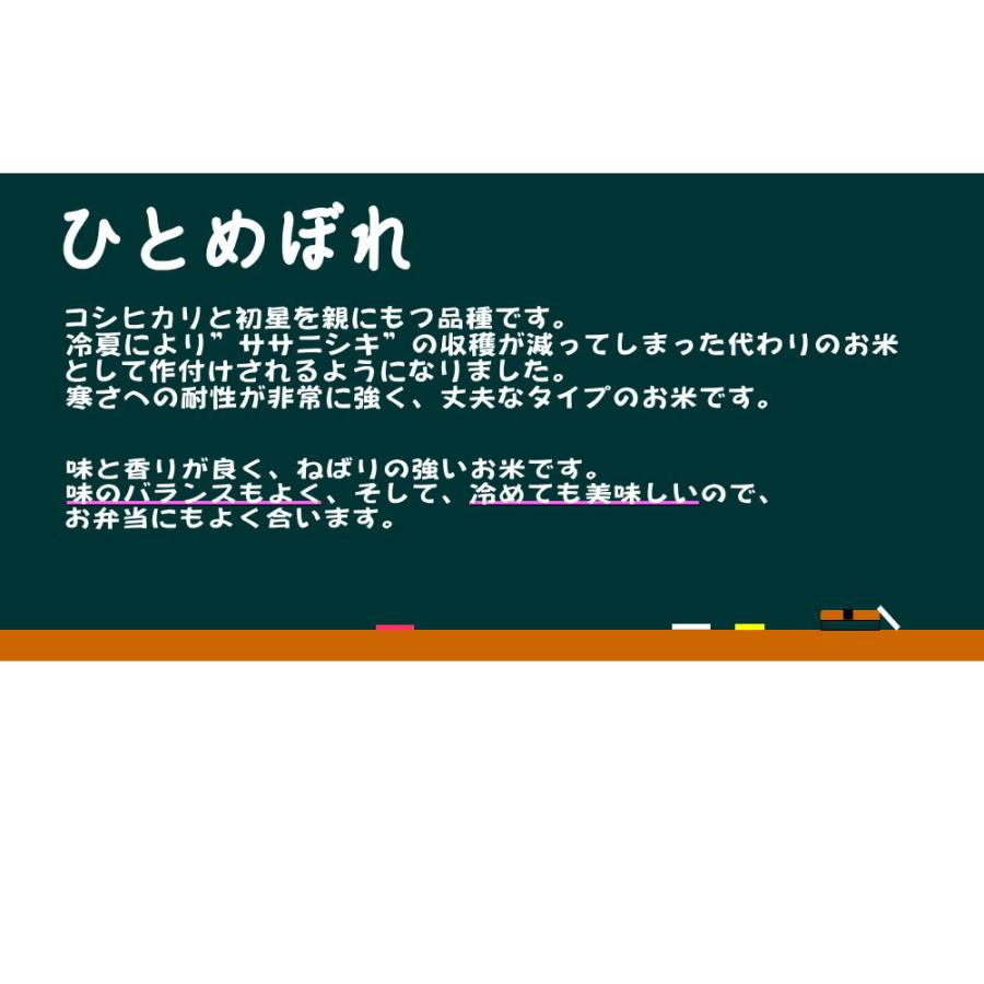 米 新米 令和5年 お米 10kg 白米 ひとめぼれ 岩手県産 令和5年産 送料無料