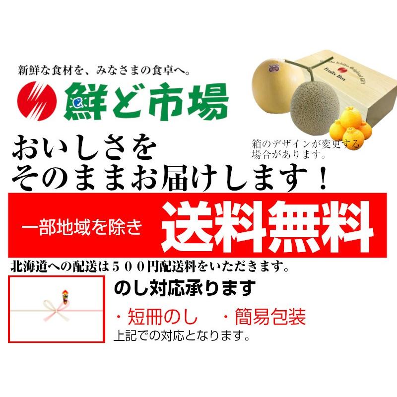 熊本特産詰め合せ果物3点セット1 アールスメロン・晩白柚・デコポン 送料無料 果物ギフト ギフト・ご贈答用