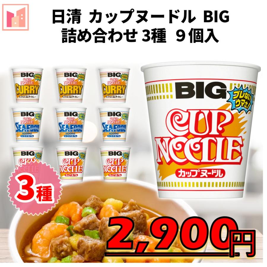 日清カップヌードルBIG 3種 9個入