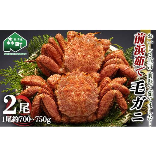 ふるさと納税 北海道 森町 12月発送 前浜茹で毛がに2尾（約700-750g×2） ＜株式会社 鳥潟＞  かに カニ 蟹 ガニ 森町 毛蟹 毛かに 毛ガニ 毛カニ ふるさと納…