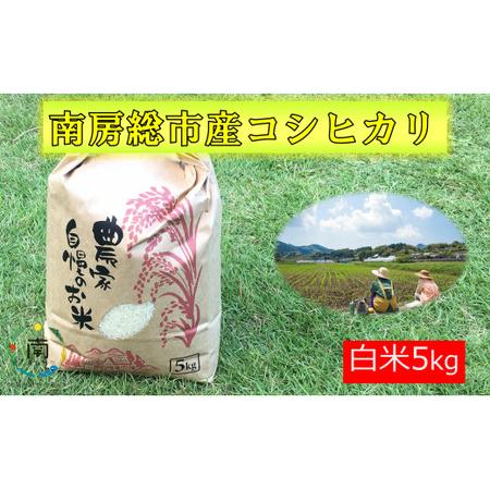 ふるさと納税 南房総市産コシヒカリ5kg mi0018-0012 千葉県南房総市