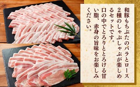 和豚もちぶた ロース・バラ しゃぶしゃぶセット 800g