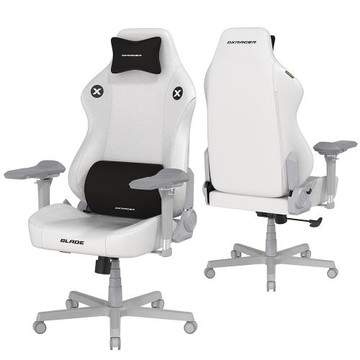 DXRACER 電競賽車椅 利刃 (6D扶手/皮面白色)