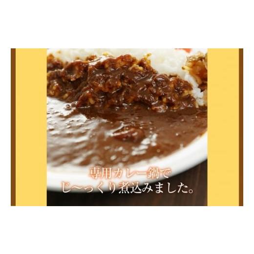 ふるさと納税 埼玉県 嵐山町 松屋 カレー 牛めし 30個 セット 冷凍 牛丼 カレー　