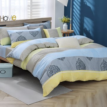 藍貓BlueCat 台灣製造銀離子抗菌兩用被套組 親膚透氣  索思  180 x 160cm  床包 + 兩用被