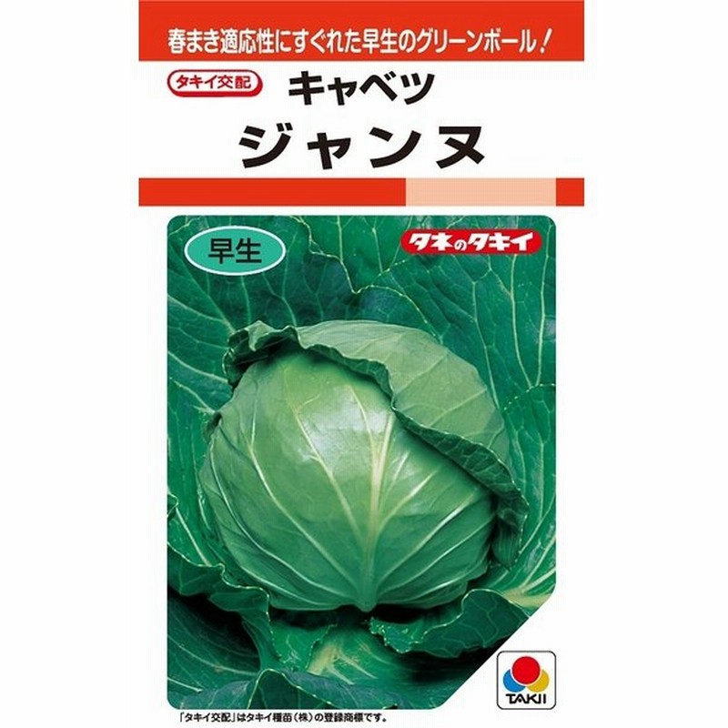 ジャンヌ キャベツ種子 00粒 タキイ種苗 通販 Lineポイント最大0 5 Get Lineショッピング