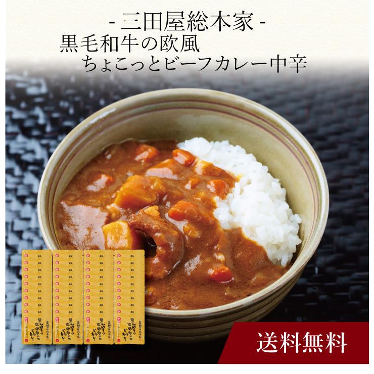 お取り寄せ 送料無料 内祝い 〔 三田屋総本家 黒毛和牛の欧風ちょこっとビーフカレー中辛(40食) 〕 出産内祝い 快気祝い カレーシチュー