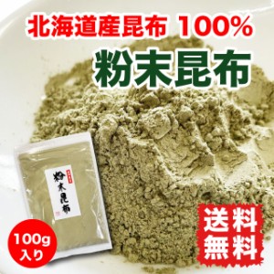 粉末昆布 昆布粉 だし粉 100g お試し 北海道産昆布 ポイント消化 送料無料