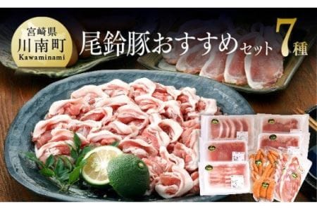 尾鈴豚 豚肉おすすめセット