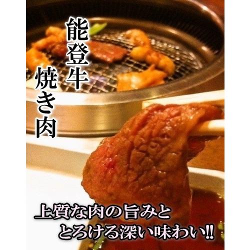 お歳暮 てらおか風舎 能登牛 A5 プレミアム 極上 肩ロース 焼肉 300g 牛肉 冷蔵 ギフト 内祝 贈答 景品 お取り寄せ グルメ