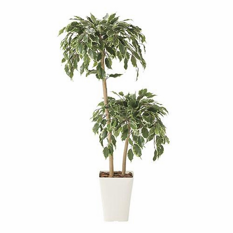光触媒 人工観葉植物 フェイクグリーン ナチュラルベンジャミン 1.6m