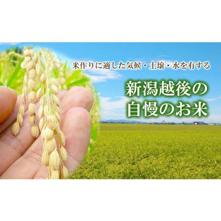 ふるさと納税 令和5年産 新潟県認証特別栽培米 ミルキークイーン 10kg 新潟県新潟市