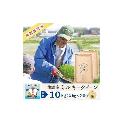 ふるさと納税 新潟県 佐渡市  佐渡島産 ミルキークイーン 玄米10Kg 特別栽培米