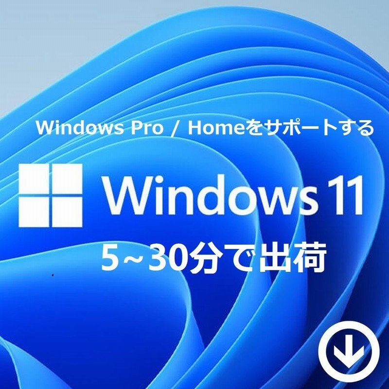 ウィンドウズ 11 Windows 11 Pro/Home プロダクトキーのみ [Microsoft] 再ロードのサポート1PC/ダウンロード版 |  永続ライセンス・特別なオファー 通販 LINEポイント最大0.5%GET | LINEショッピング