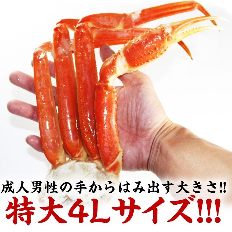 お取り寄せグルメ かに 海鮮 ズワイガニ ずわいがに ボイル 冷凍 特大 ４Lサイズ 3肩 1.2kg カニ 蟹