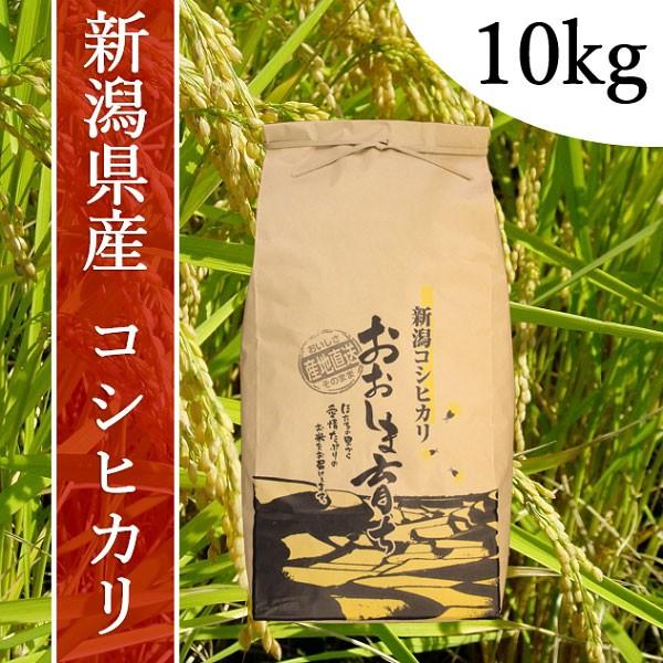 令和５年度産　おおしま育ち　コシヒカリ　玄米　１０kg