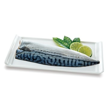 【Subzero 28】真空挪威鯖魚片150g*10片(淨重不含紙板)〡贈土雞三節翅4包(300g/包)