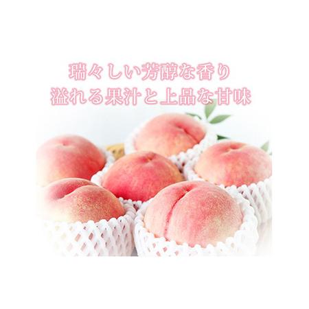 ふるさと納税 紀州和歌山産の桃　約４kg　化粧箱入 ※2024年6月下旬?8月中旬頃に順次発送 和歌山県美浜町