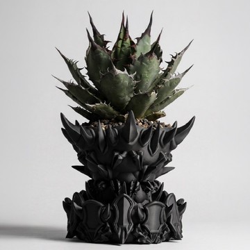 yawara爪CH Another Form 盆栽+專用底盤套組