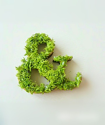 木製字母對象（苔蘚） 5 厘米/& x 1 點