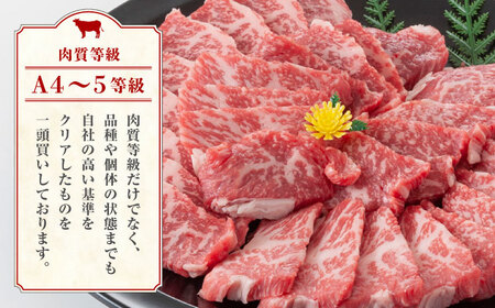 熊本県産 黒毛和牛 もも 食べ比べ セット 約1kg牛肉 熊本 もも セット [ZDQ054]