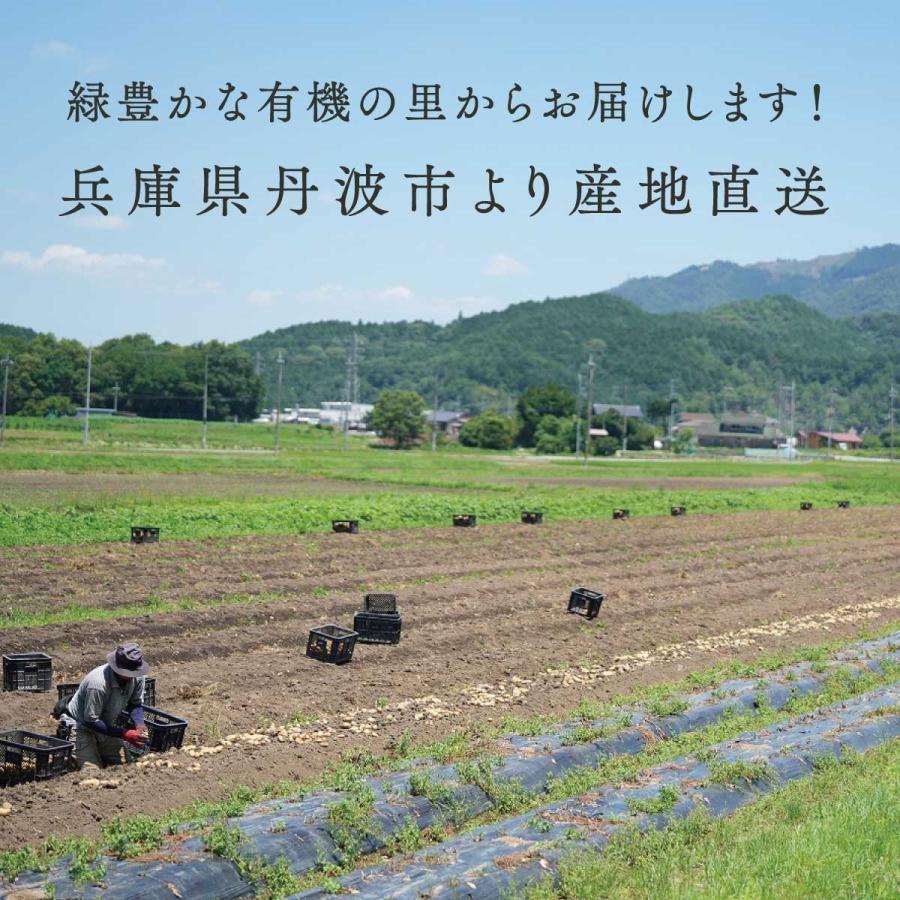 野菜セット 有機 詰め合わせ 7品目 兵庫県産  産地直送 クール便 国産 農家直送 有機野菜セット