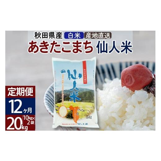 ふるさと納税 秋田県 東成瀬村 新米 令和5年産 あきたこまち 秋田県産「仙人米」白米 20kg（10kg×2袋）