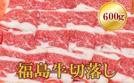 No.1551福島牛切落し 600g