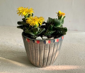 水洗灰簡約直紋_陶器花器盆栽