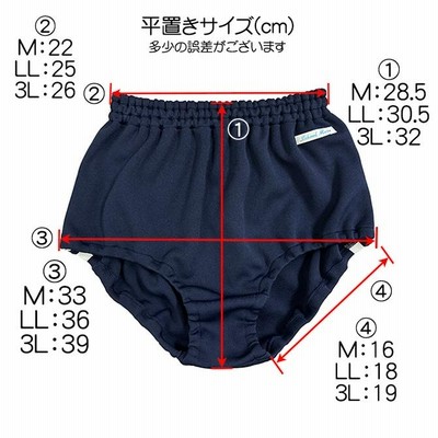 割引価格 3L エンジ ライン入りブルマー 2本 SchoolMate wbb-5780b その他