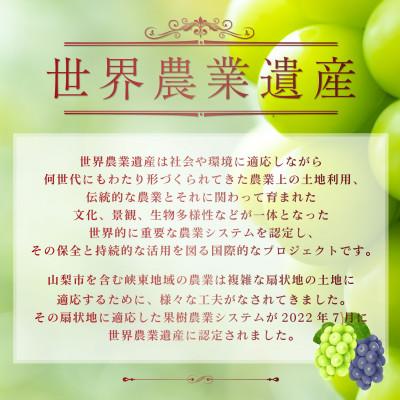 ふるさと納税 山梨市 山梨県産シャインマスカット2房(1kg以上) ふるさと納税